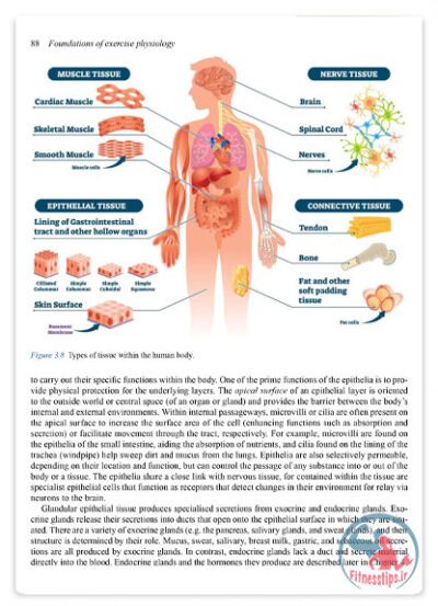کتاب فیزیولوژی تمرین برای سلامت و عملکرد ورزشی
