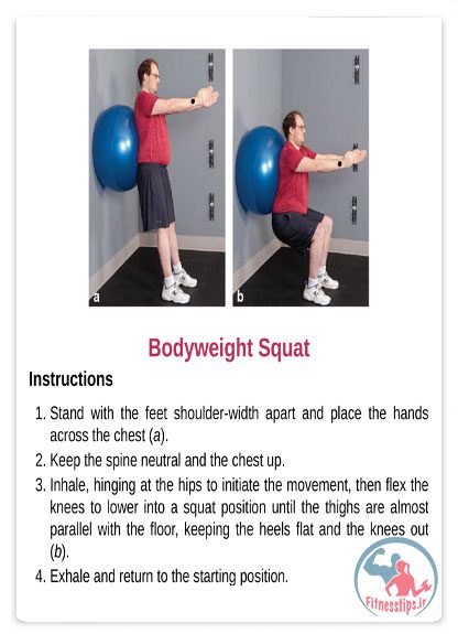 کتاب چاقی و مدیریت وزن : راهنمای تخصصی مربیان ورزشی