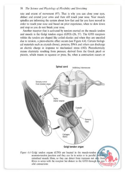 کتاب علم و فیزیولوژی انعطاف‌پذیری و کشش : کاربردها در ورزش و سلامت