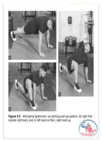 کتاب تمرین مثل حرفه‌ای‌ ها : برنامه‌ریزی برای پرورش ورزشکار درونت