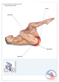 آناتومی تمرینات دوچرخه سواری با آموزش کامل تصویری