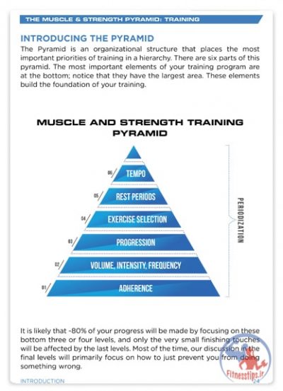 نقش تمرین در عضله سازی