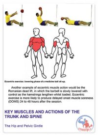 کتاب آماده سازی عضلات مرکزی به همراه آموزش تصویری