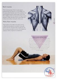کتاب تمرینات عضلات مرکزی بدن با آموزش کامل تصویری