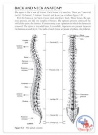 کتاب درمان درد گردن و پشت و روش های پیشگیری آسیب