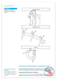 کتاب بیومکانیک پایه و درک علمی از حرکت و ساختارهای بدن