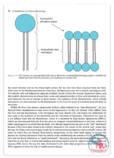 کتاب فیزیولوژی تمرین برای سلامت و عملکرد ورزشی