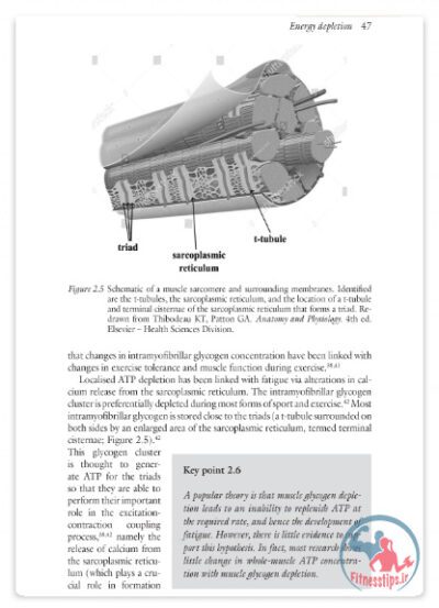 کتاب خستگی در ورزش