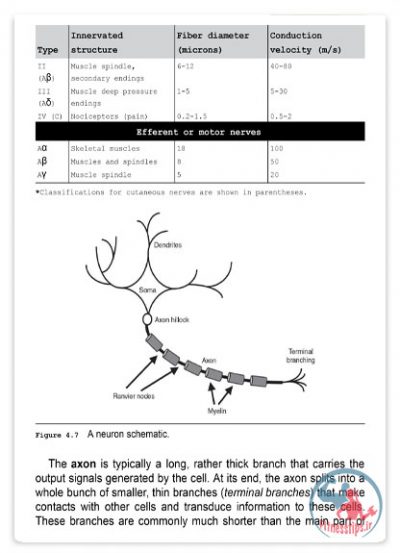 کتاب پایه‌ های عصب‌ فیزیولوژیکی کنترل حرکت