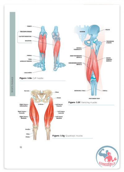 کتاب راهنمای جامع ماساژ ورزشی