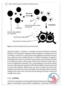 کاربرد و عملکرد پروتئین وی و آشنایی با ساختار آن