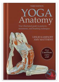 کتاب مصور آناتومی یوگا به همراه آموزش حرکات و تکنیک‌ها